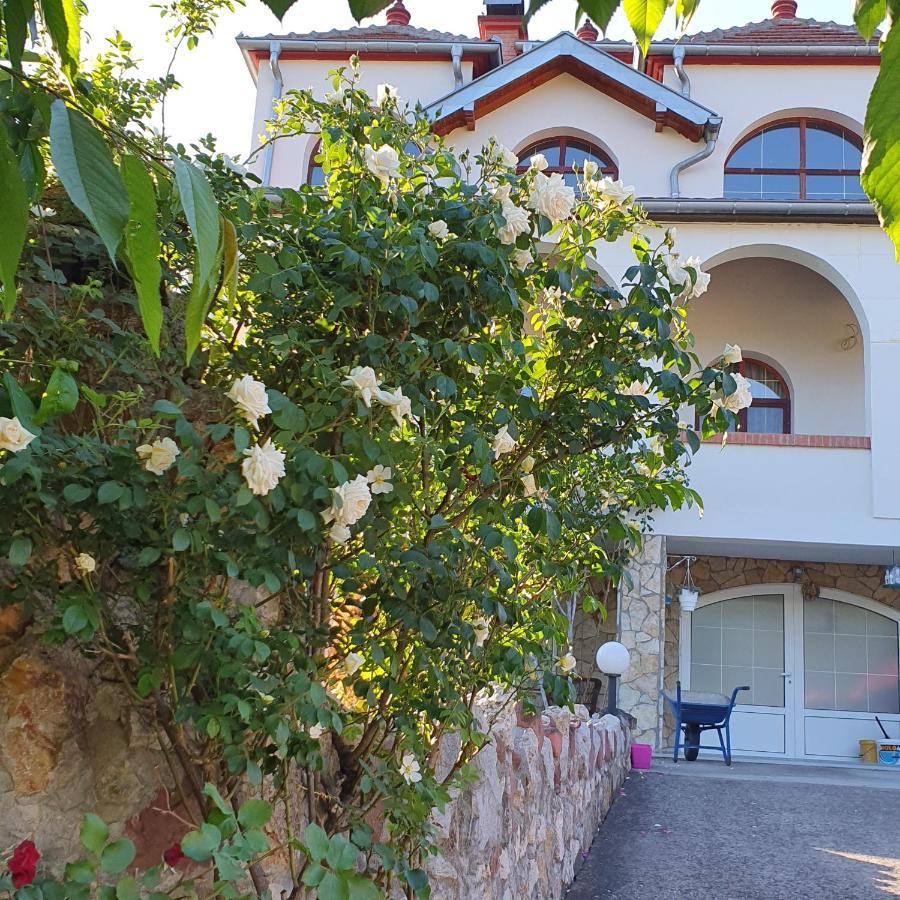 Knez Apartmani Senje Extérieur photo