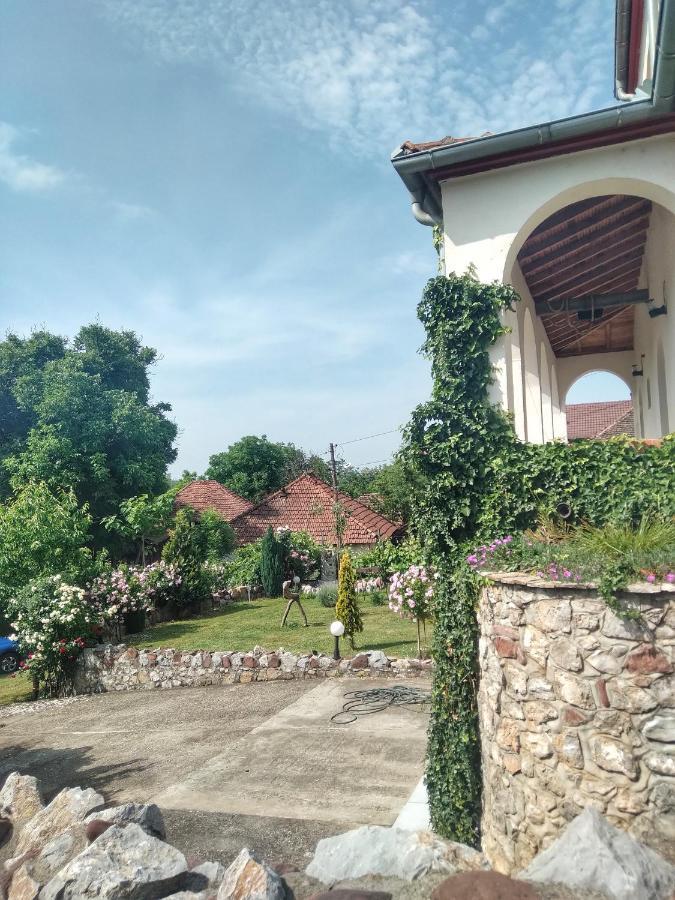 Knez Apartmani Senje Extérieur photo